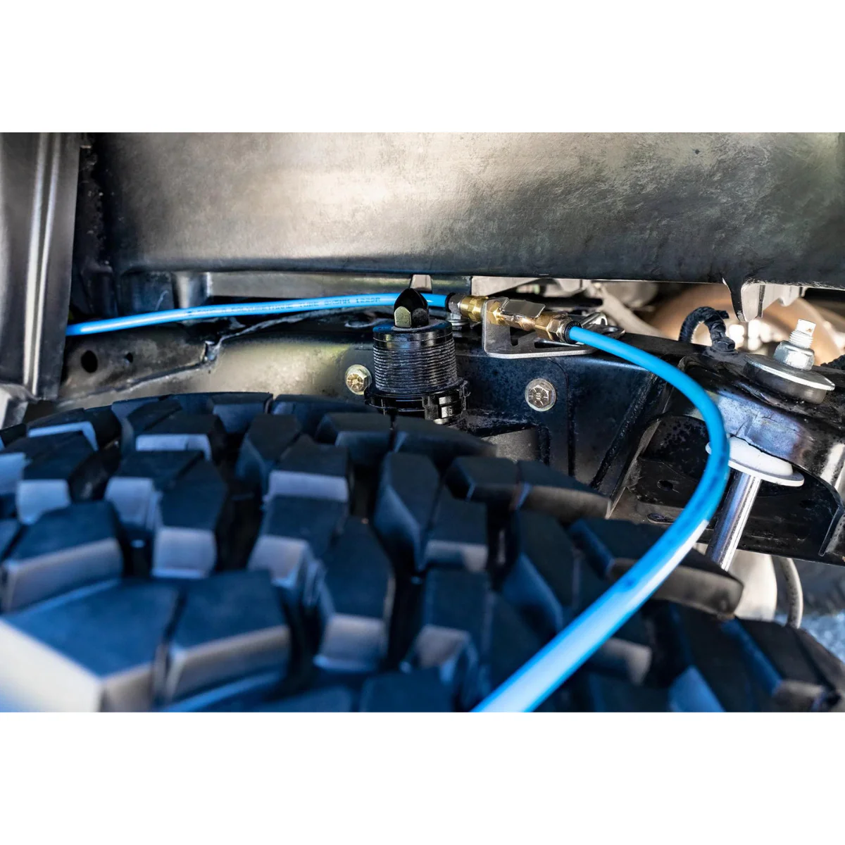 Rago Fabrication Air Mounts for Tacoma (2016-2023) - Image 4