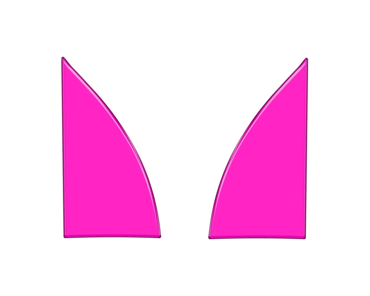 Tufskinz Interior A Pillar Accent Trim for Tacoma (2016-2023) - Image 14