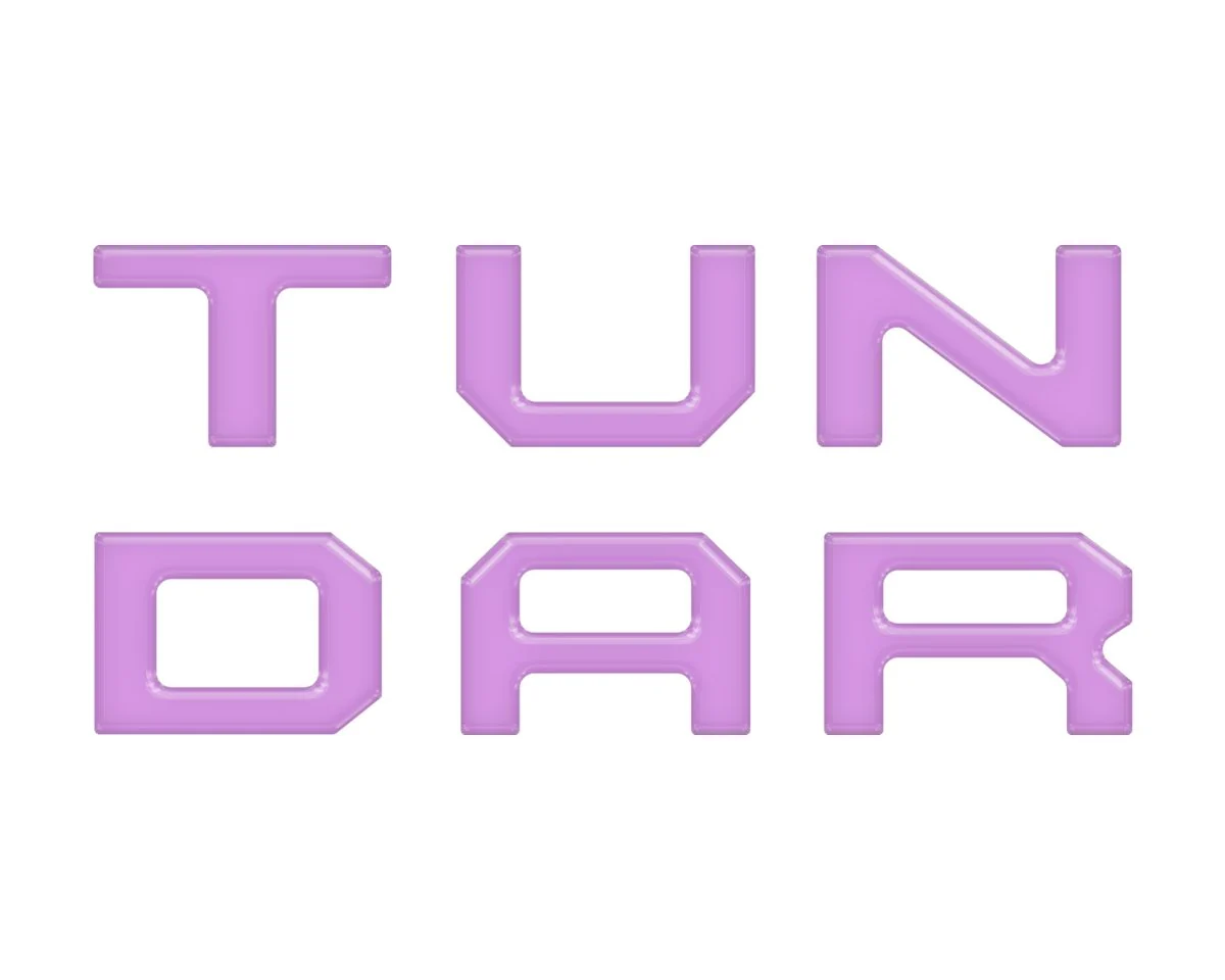 Tufskinz Single Climate Control Radio Letter Inserts for Tundra (2014-2021) - Image 9